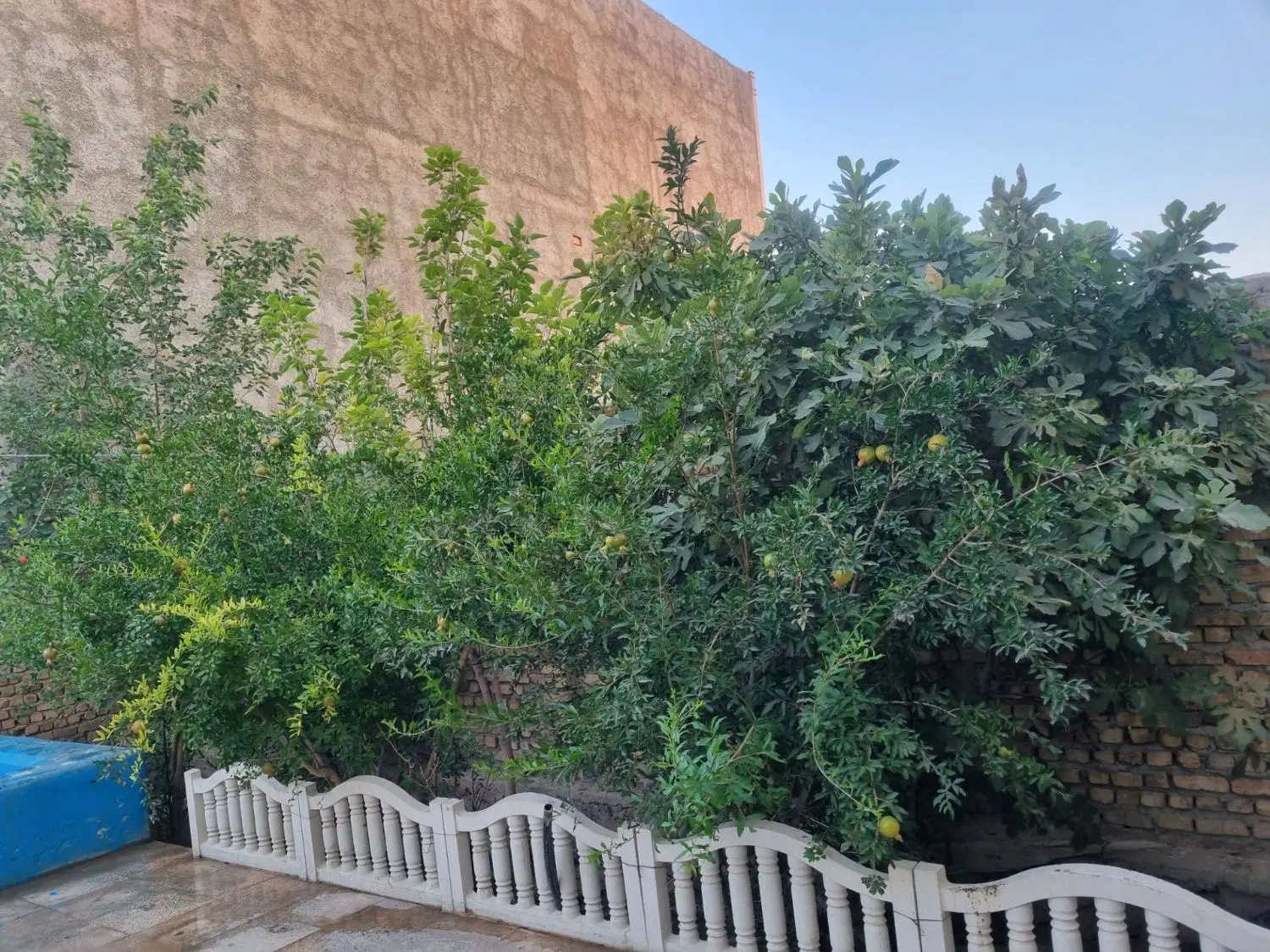 ملک مسکونی