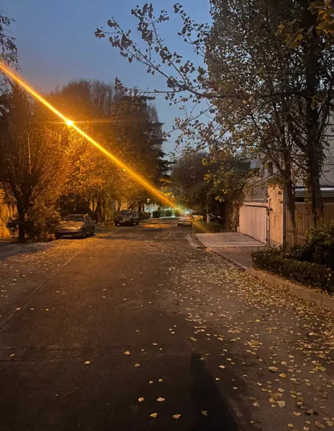 ملک ویلایی ۲۵۰متر شمالی (حیاط جلو)