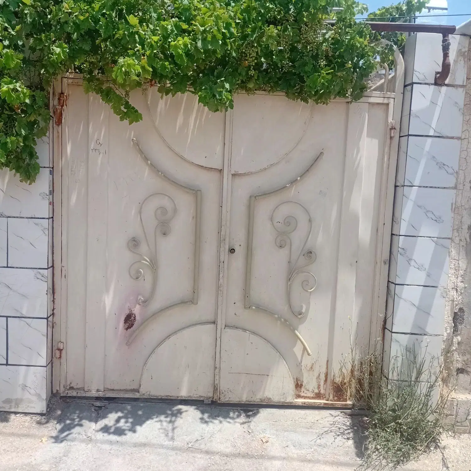 منزل همکف