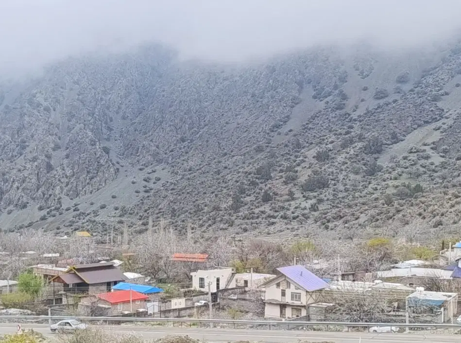 فروش زمین در رابر