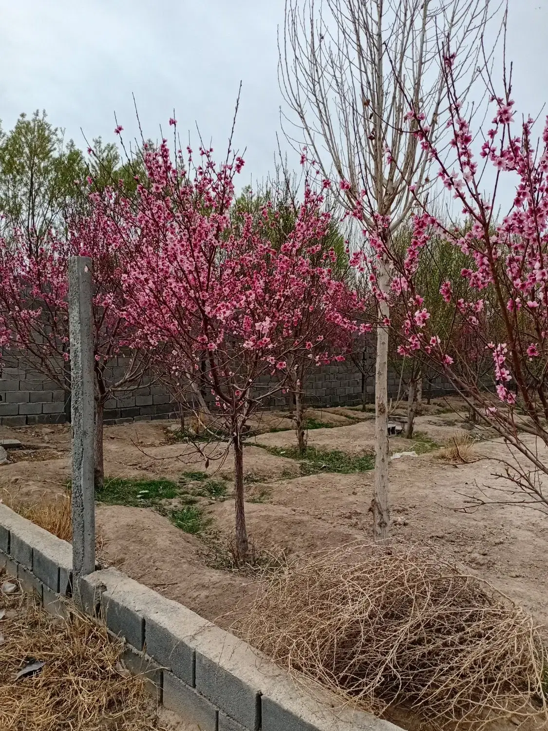 ۲۵۰متر زمین داخل شهرک ویلایی