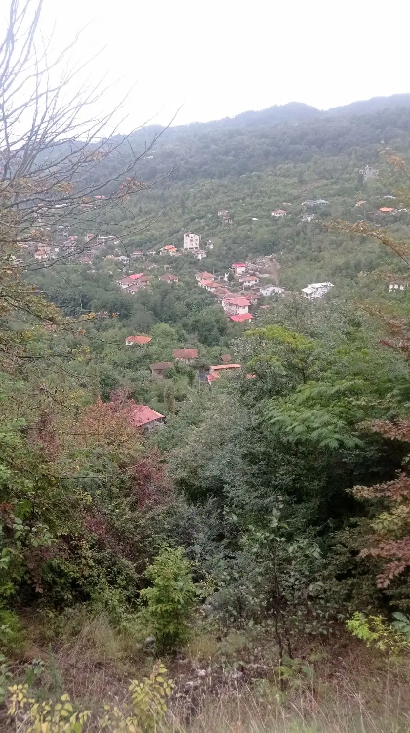 زمین ۱۶۰متراریا خیابان۱۰