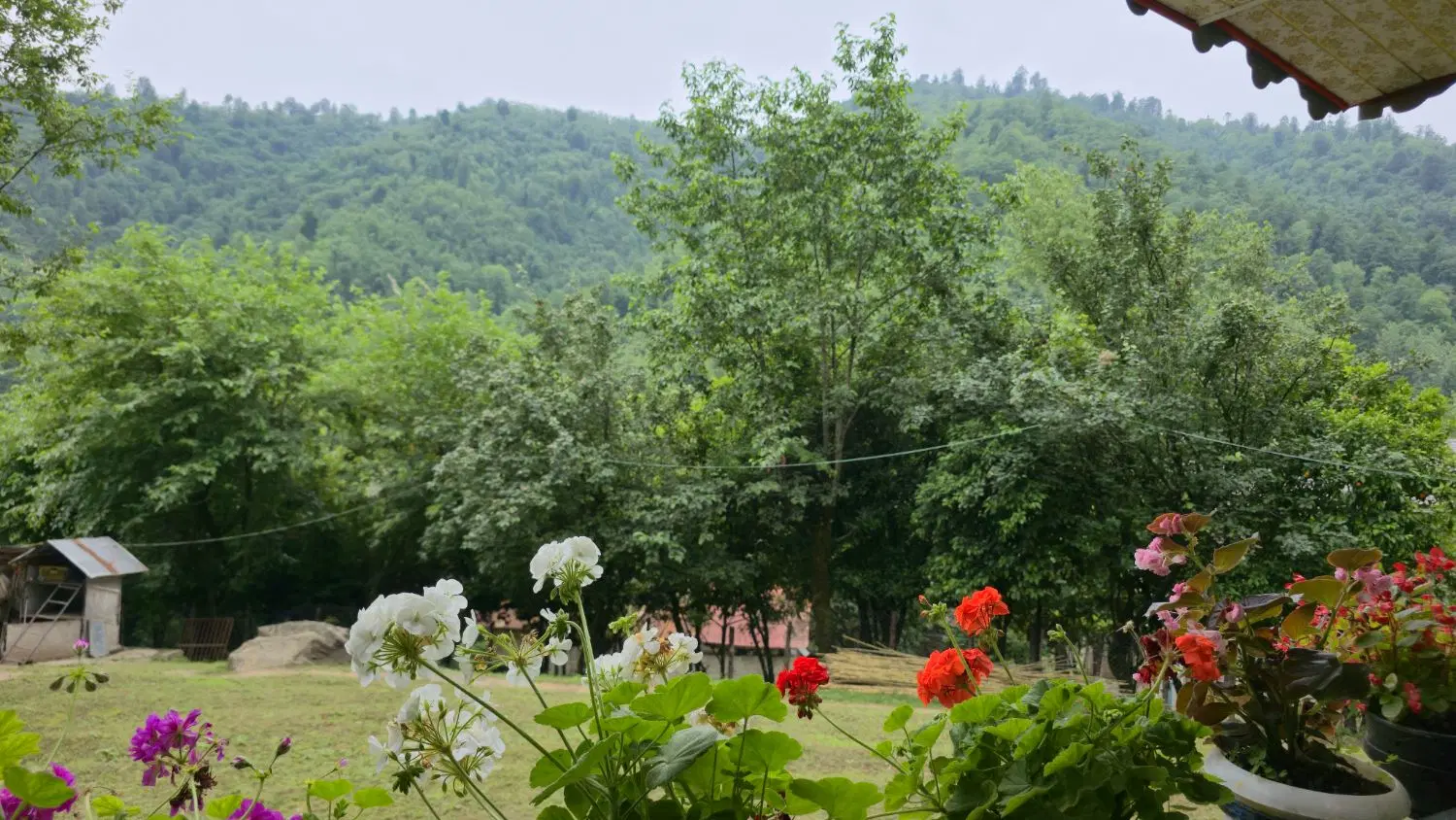 اجاره ویلا