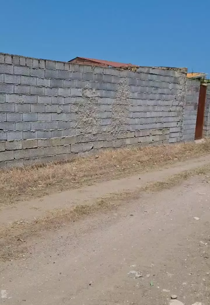زمین به مساحت ۵۶۰متر دررامسر
