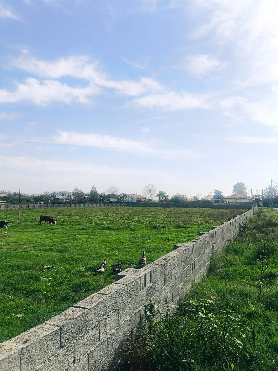 فروش زمین باغی