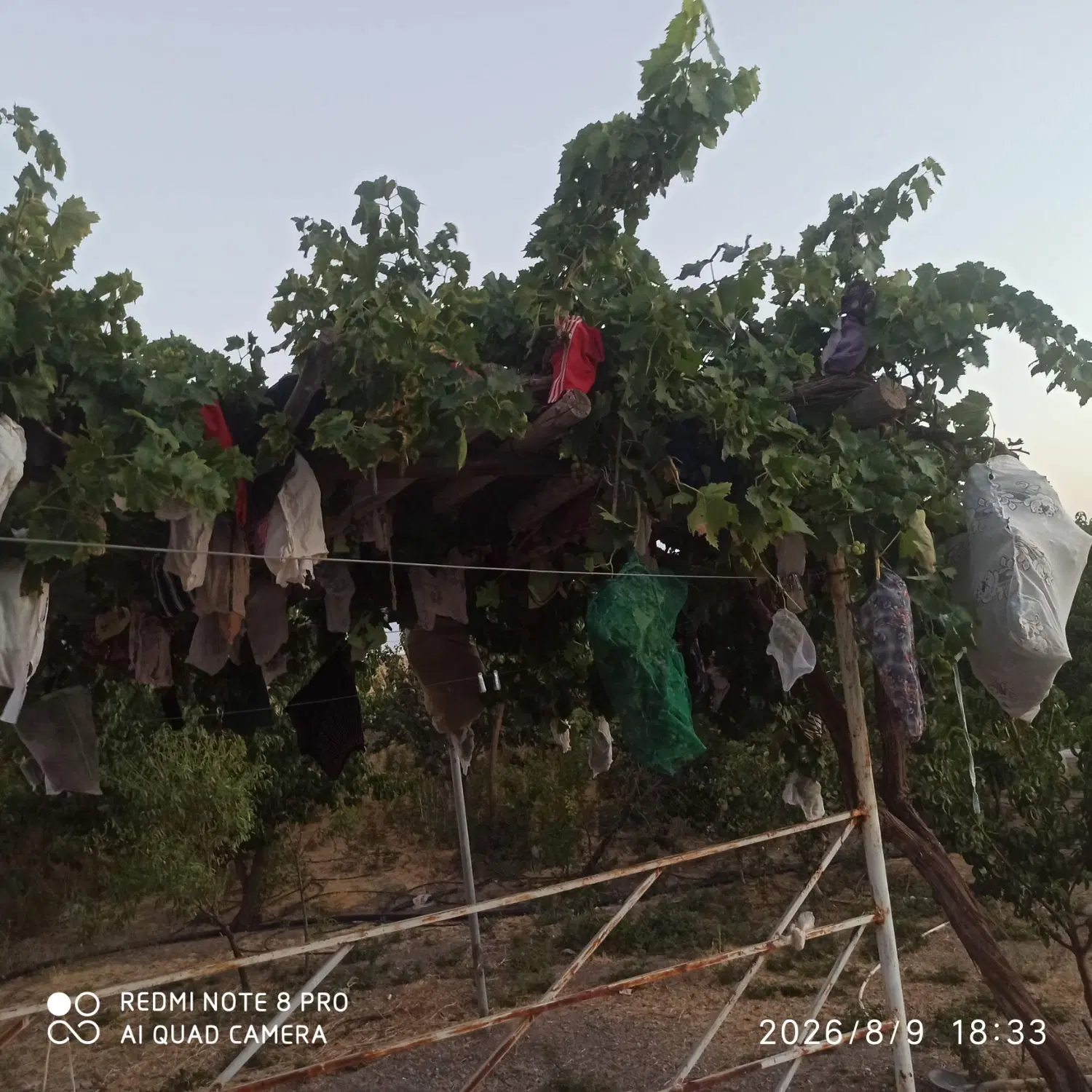 خانه ویلا