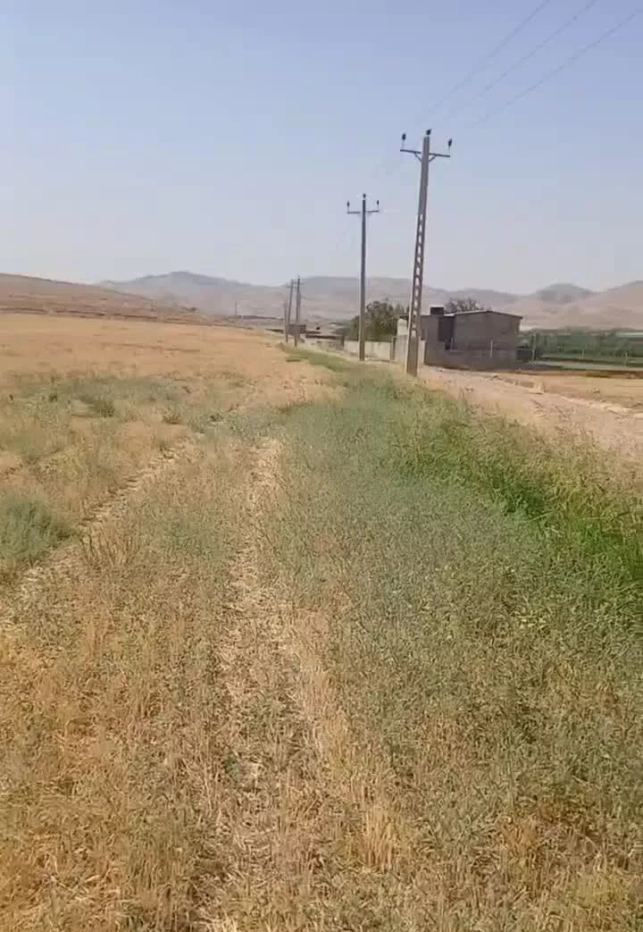 اجاره زمین کشاورزی ۳ هکتار