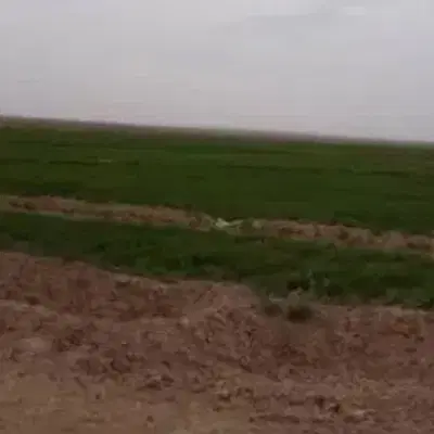 فروش زمین