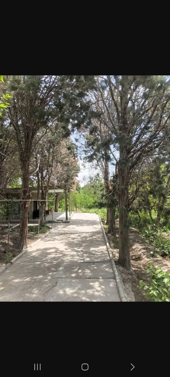 باغچه داخل بافت عباس اباد محمدشهر با بنای قدیمی