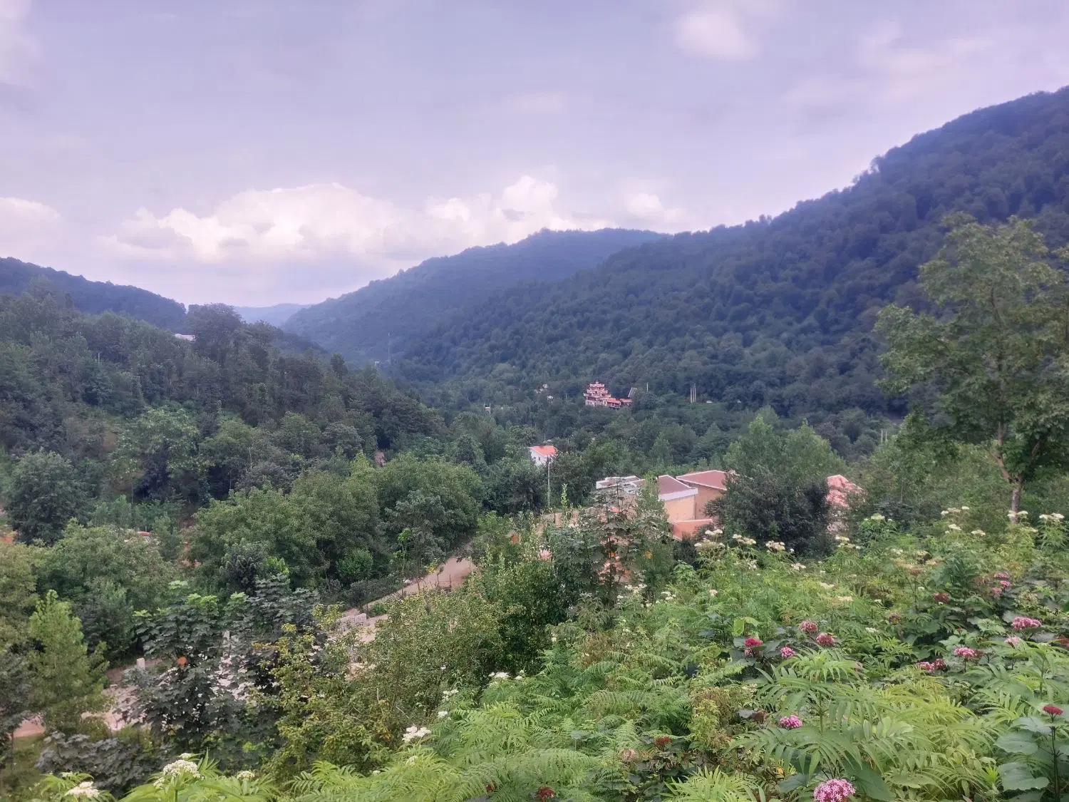 ویلا‌ جنگلی