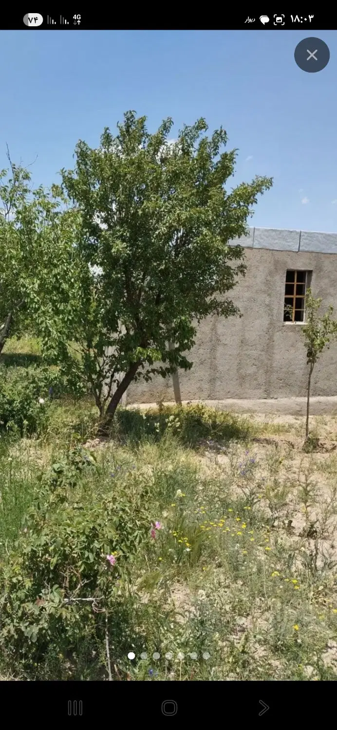 باغ جاده حیدره منوچهری