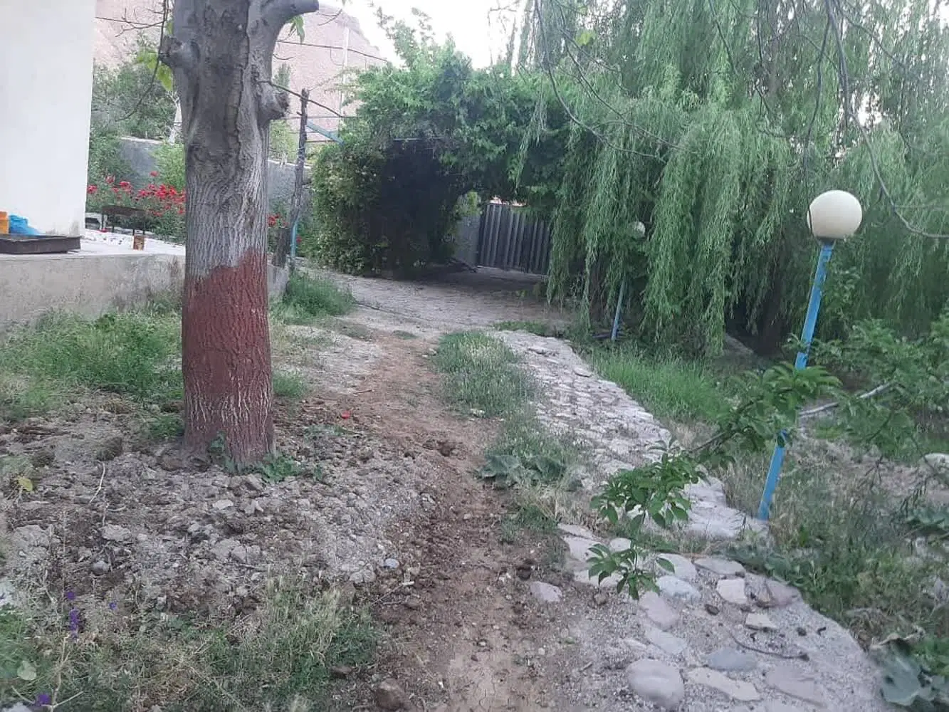 باغ فروشی گچه سیمین دشت