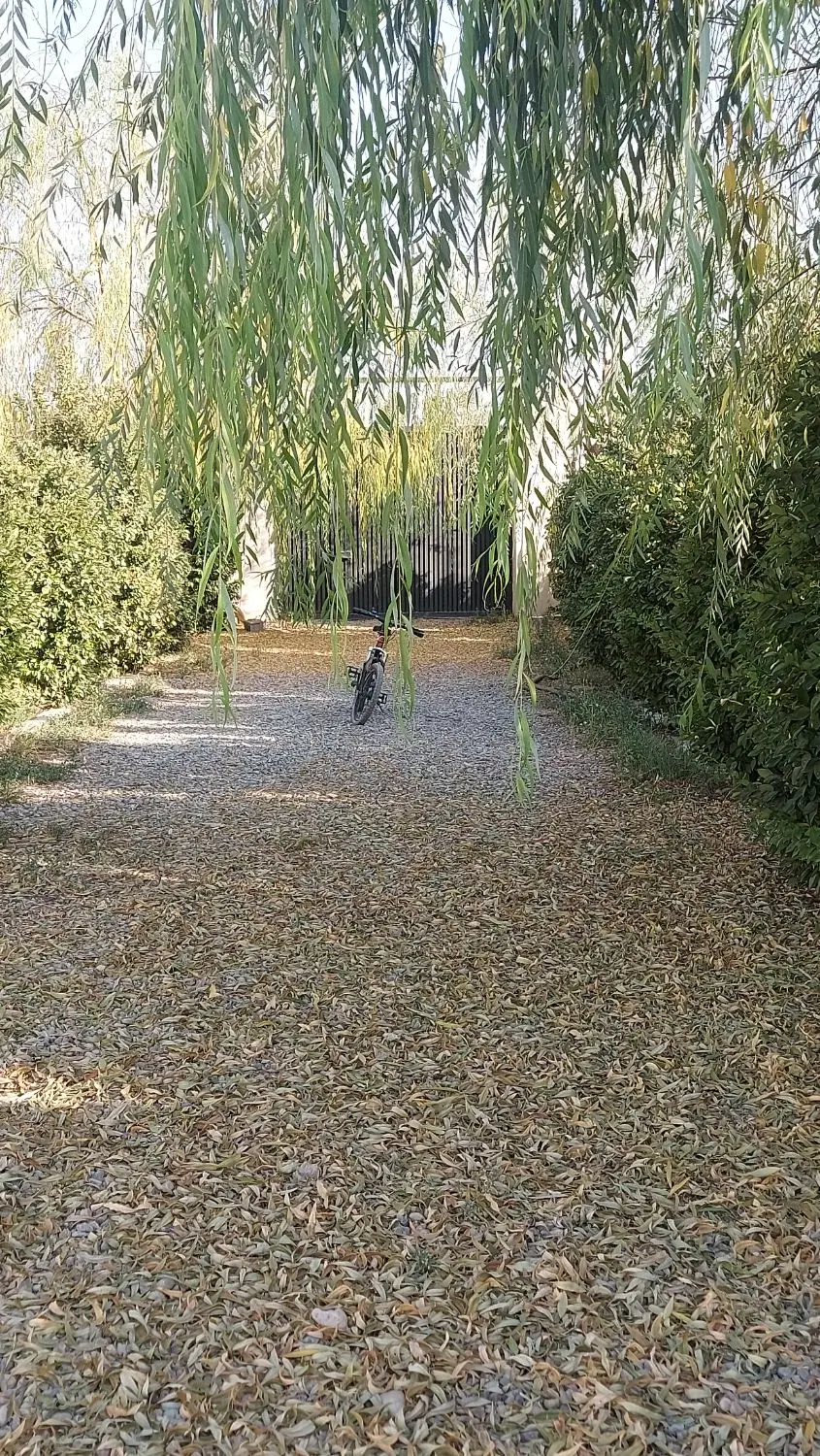 زمین ۲۹۰ متر زکی اباد
