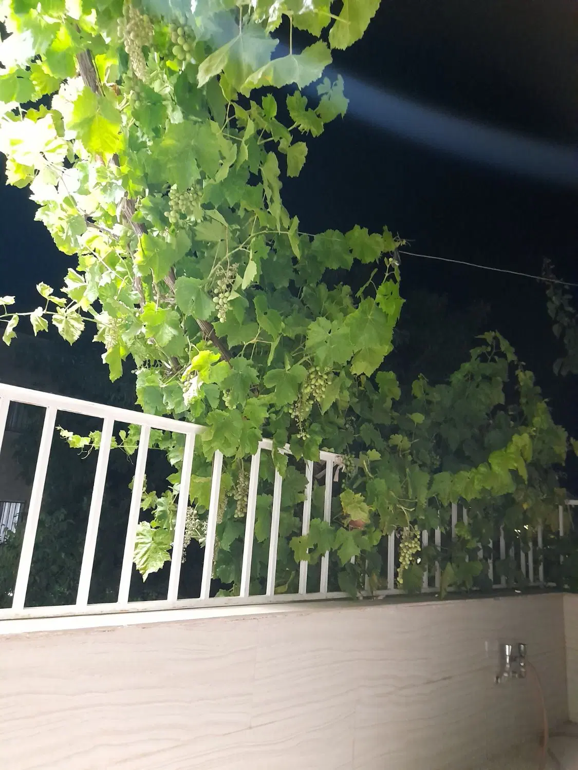 فروش آپارتمان بر خیابان حائری باجک