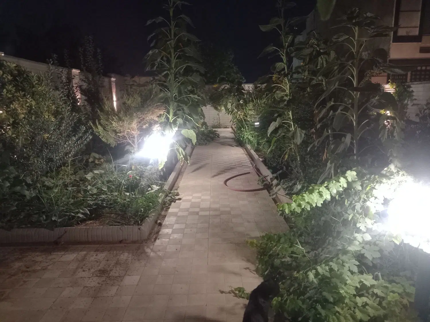 ویلای فروشی