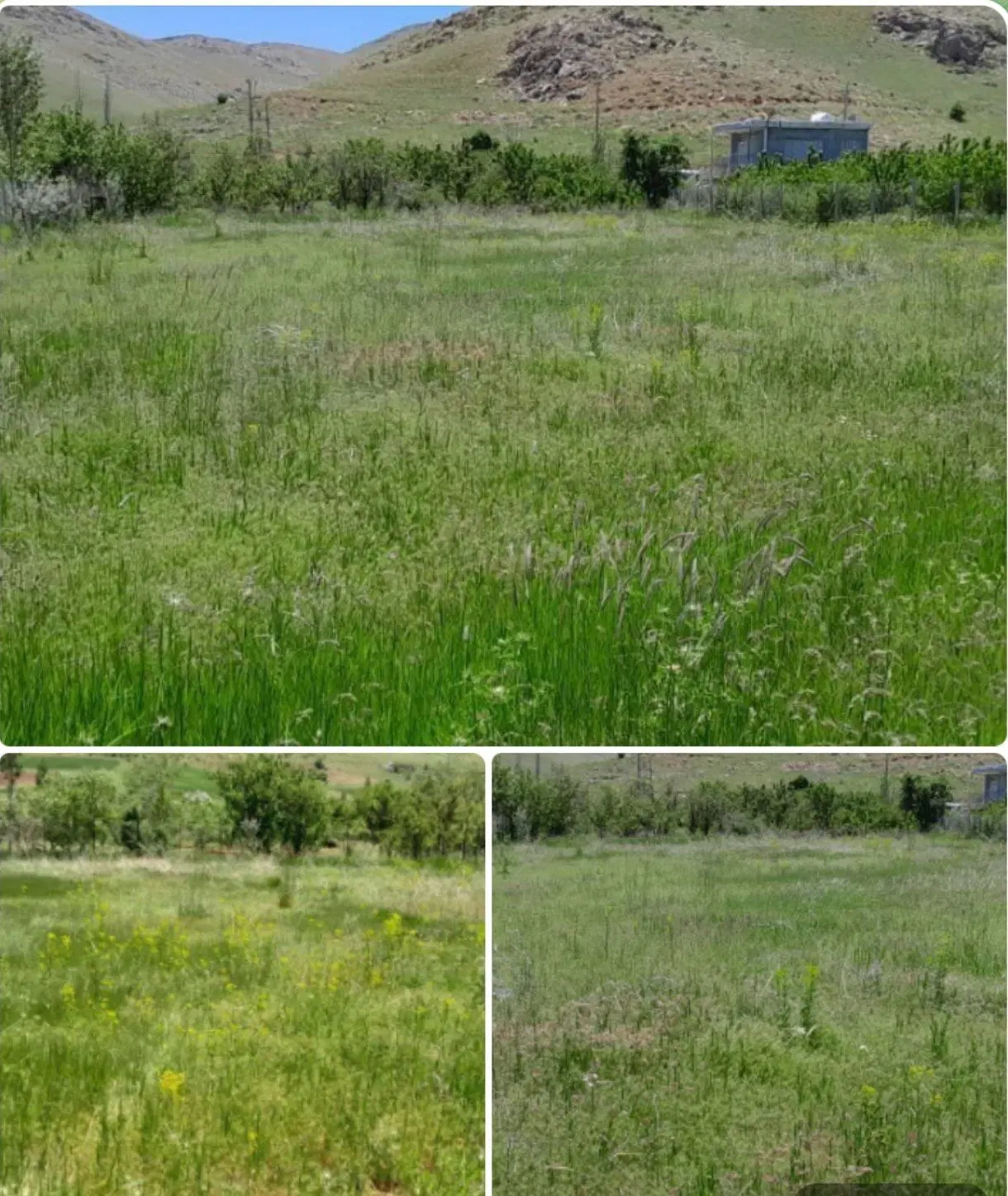 فروش زمین کشاورزی در گردنه صلوات‌آباد