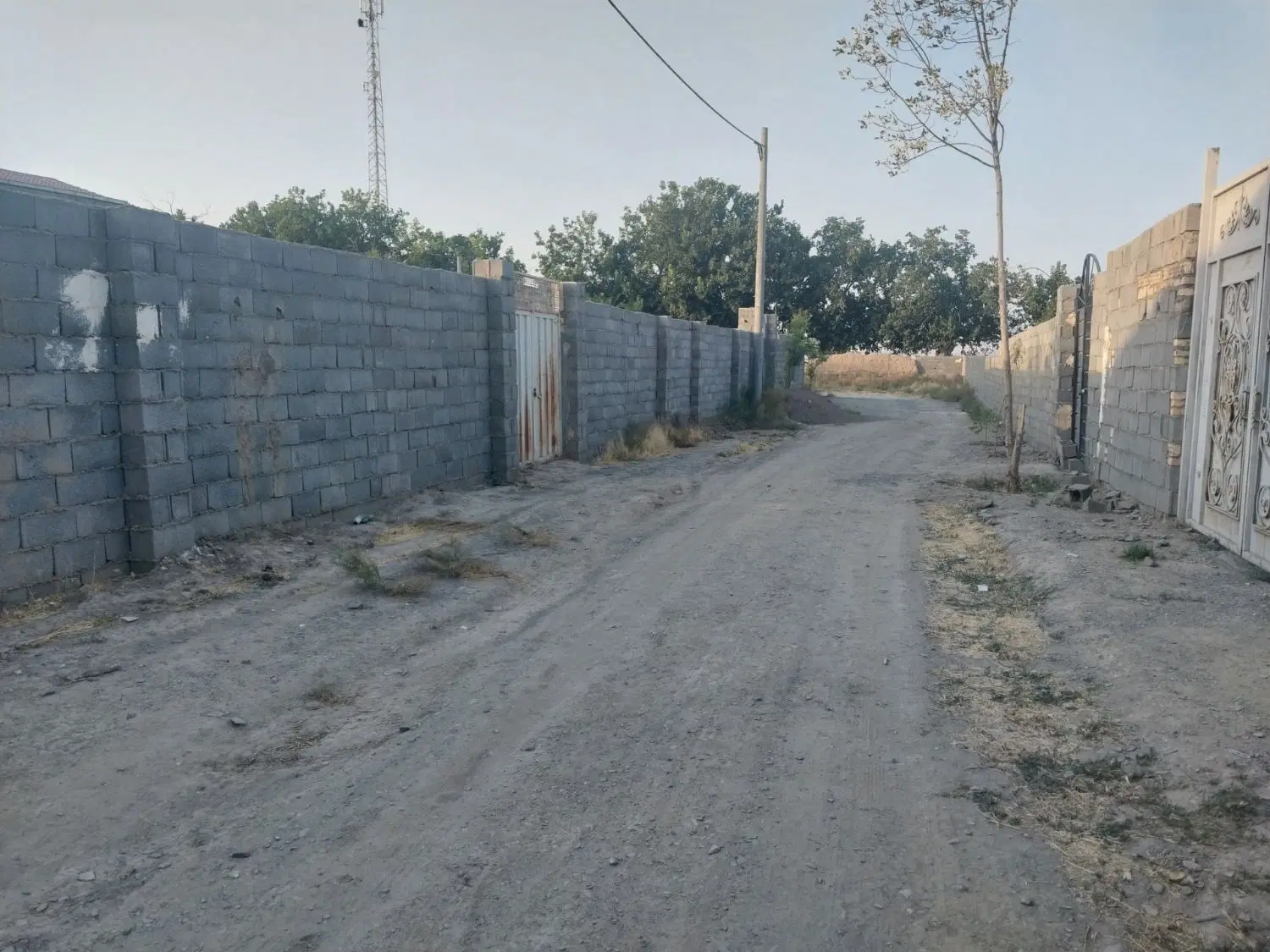 زمین باغی