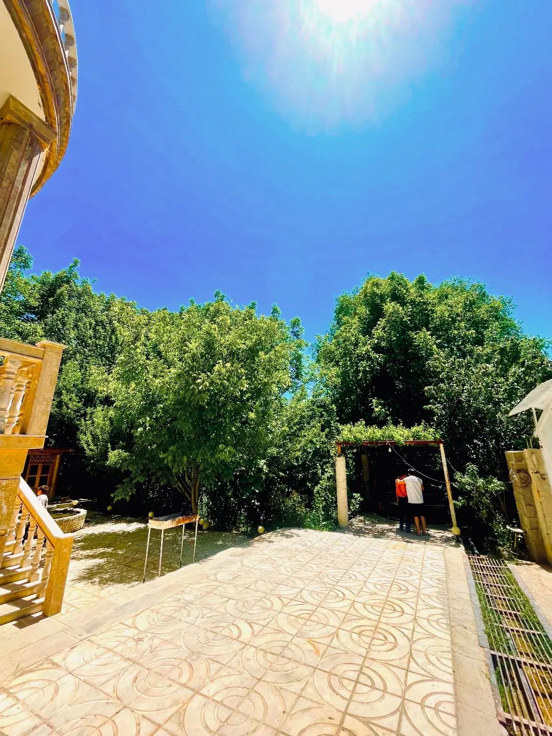 سپیدان باغ(جنگلی)فوقع لوکس(استخرآبگرم جکوزی