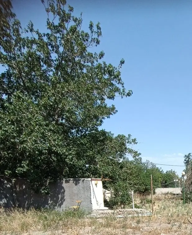 ۲۵۰ مترخانه باغ ،زمین،ویلا ،دیزیجان