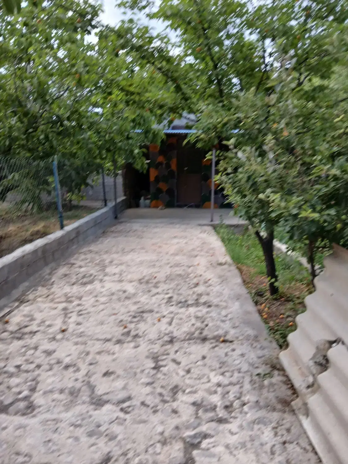 باغ کوچک در ملایوسف