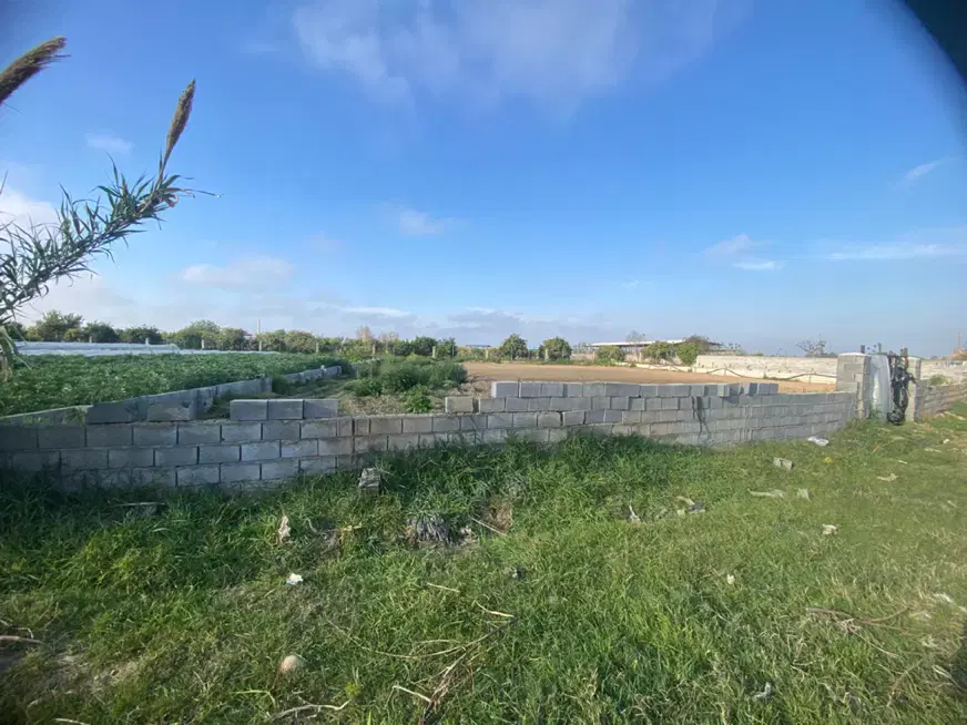 فروش ملک زراعی شهر بهنمیر