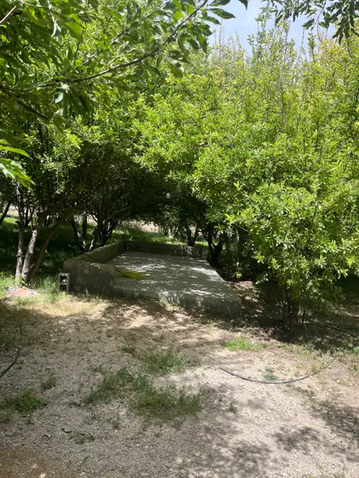 باغ اجاره ای دشت ارژن