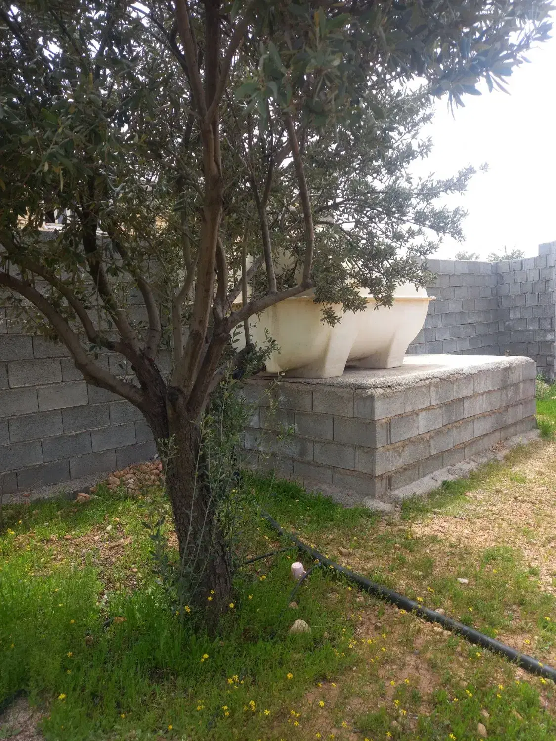 فروش باغ شهری هزار متری داریون