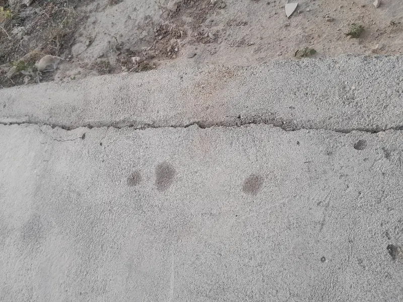 زمین کشاورزی