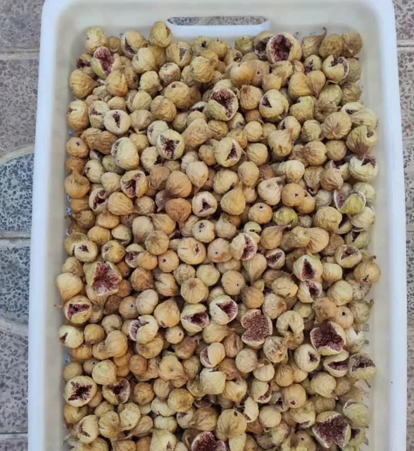 باغ وباغچه .انجیری.انگور.تفریحی