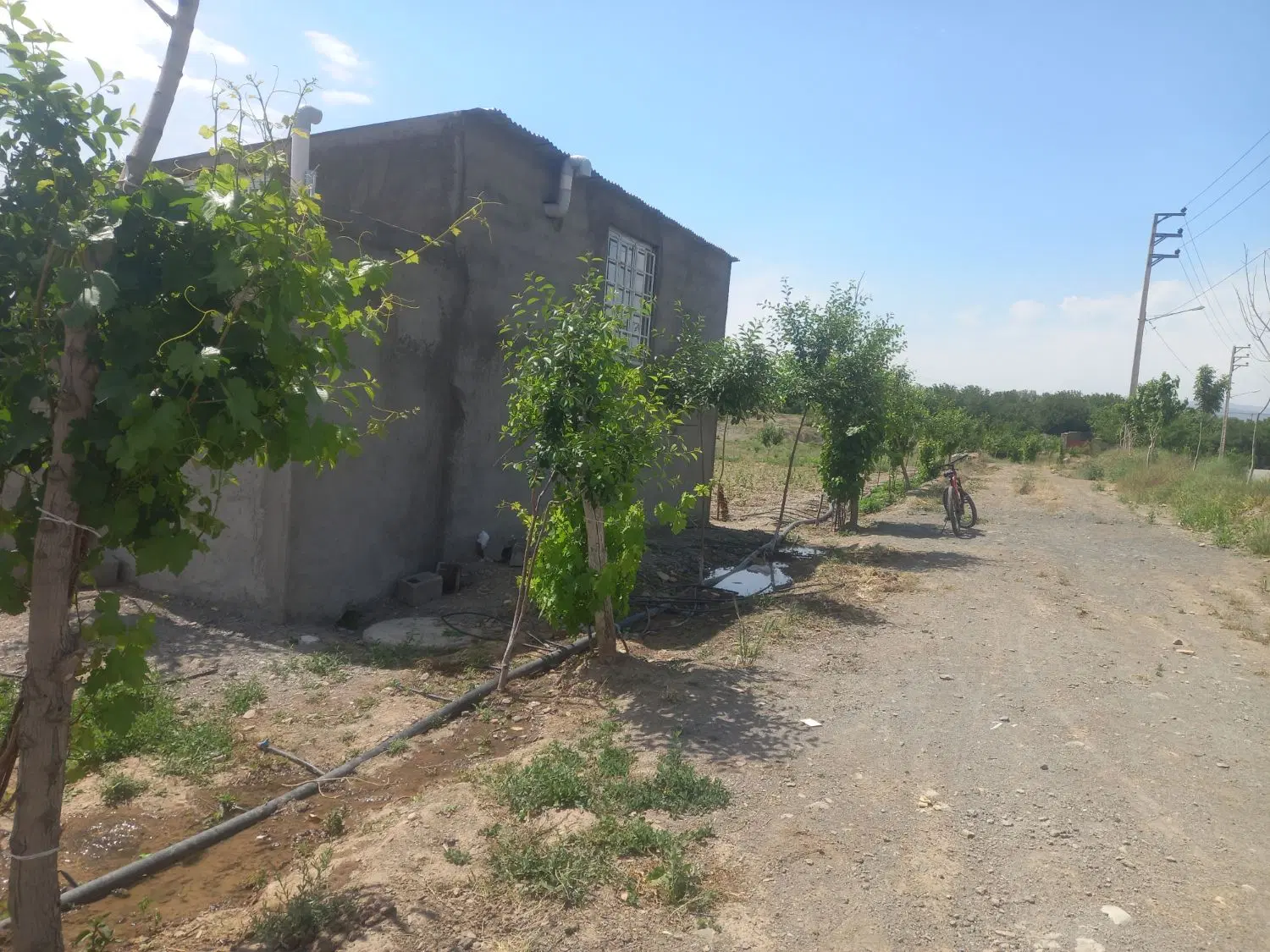 زمین سند دار ملکی امام رضا۱ شاندیز