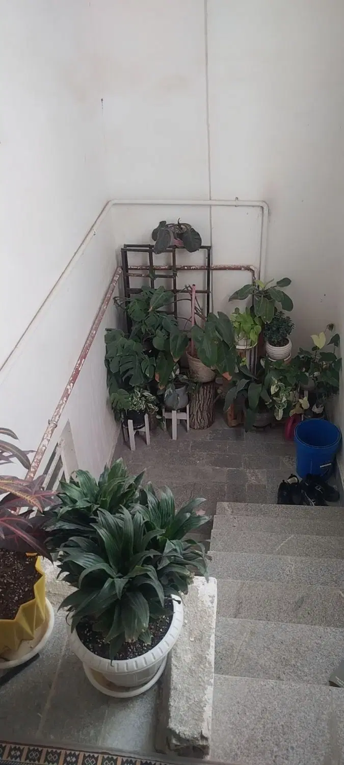 آپارتمان ۷۵ متری دوبلکس شکار