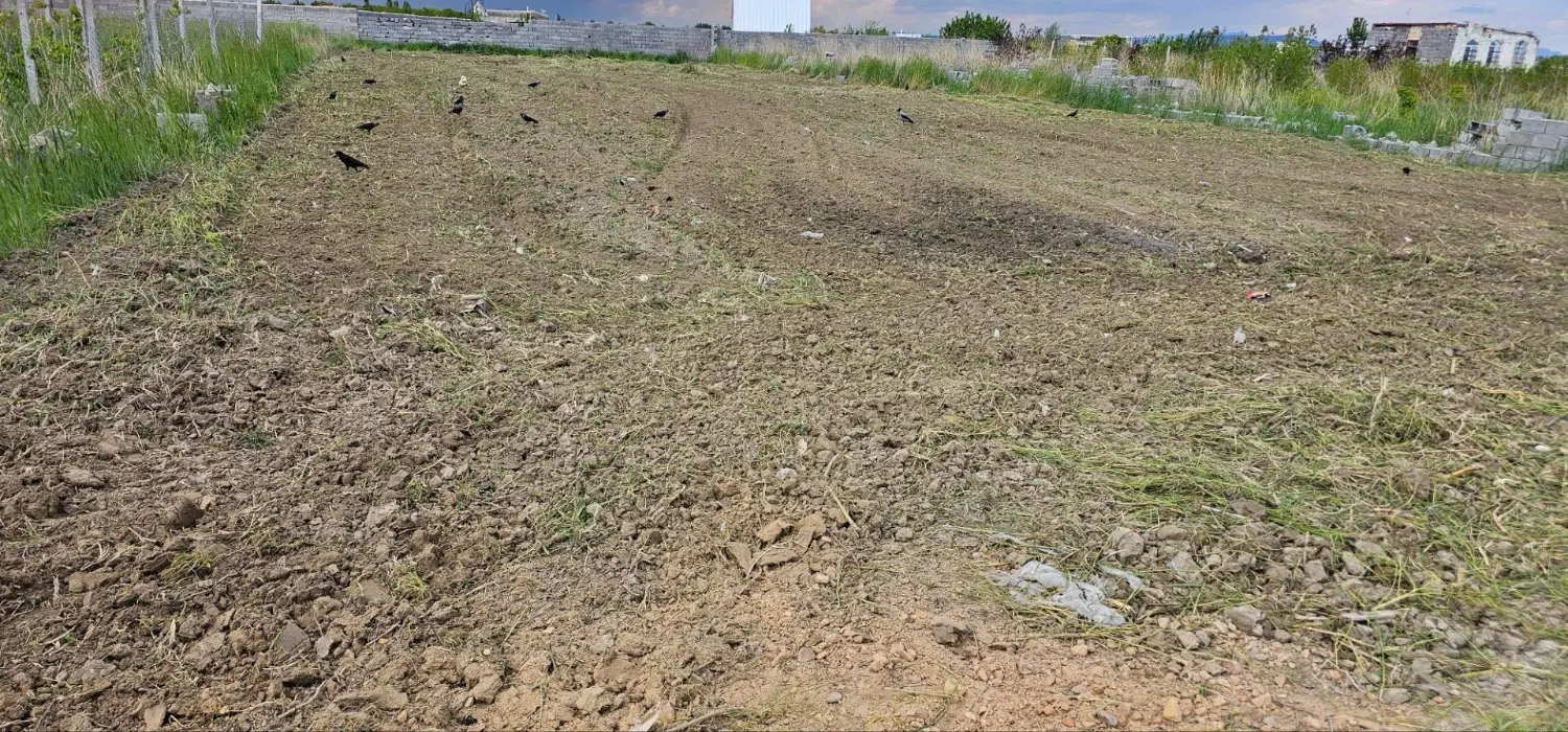 زمین کشاورزی