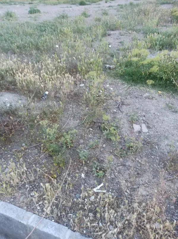 قطعه زمین مسکونی شهرک ولیعصر پشت cng