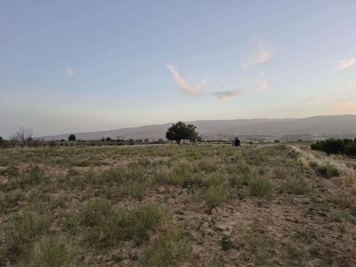 زمین کشاورزی