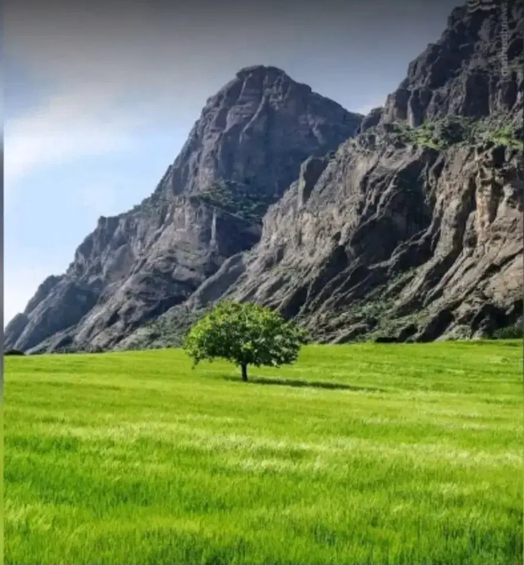 زمین مسکونی در یاسوج معاوضه با ملک در منطقه عسلویه