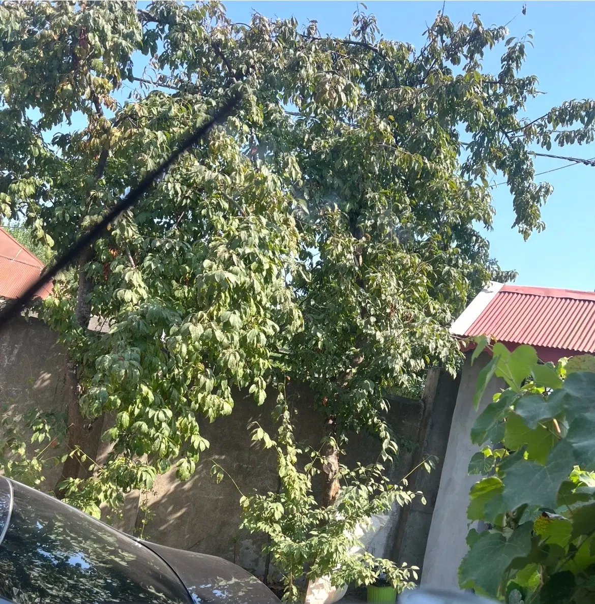 خانه ویلایی در آبکنار