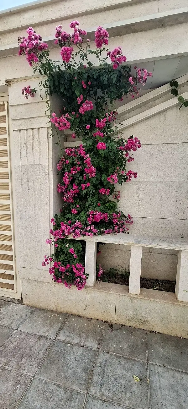 همکف راه جدا