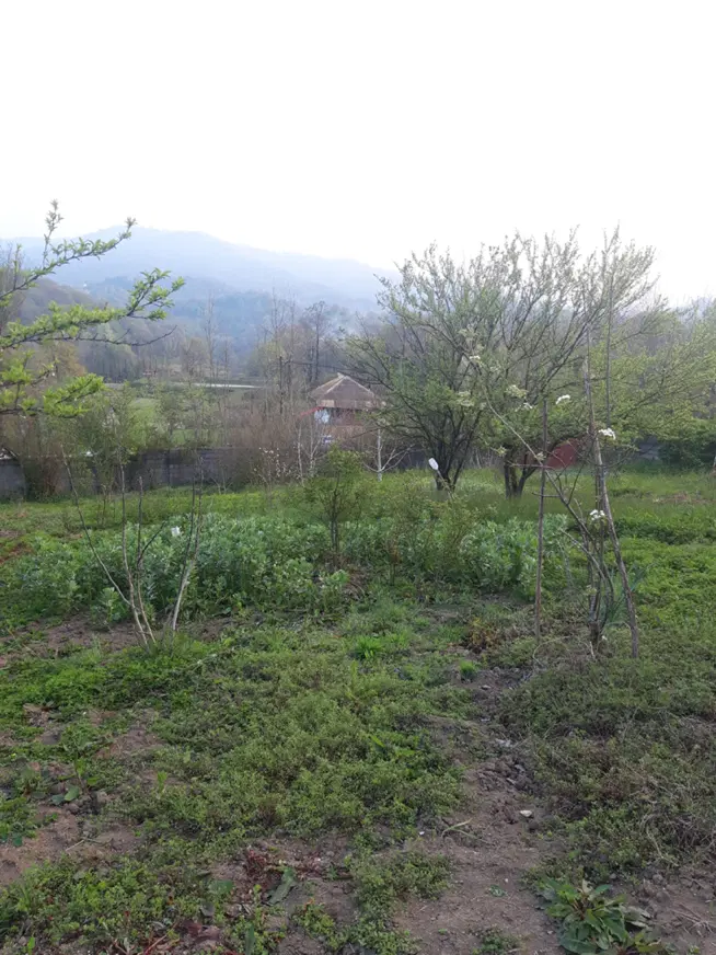 زمین مسکونی ۳۰۰ متر