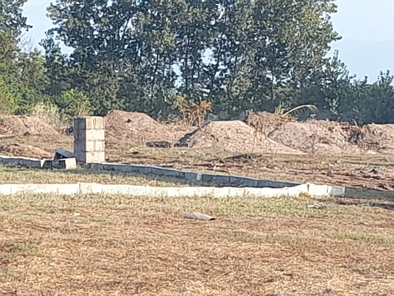 220متر زمین