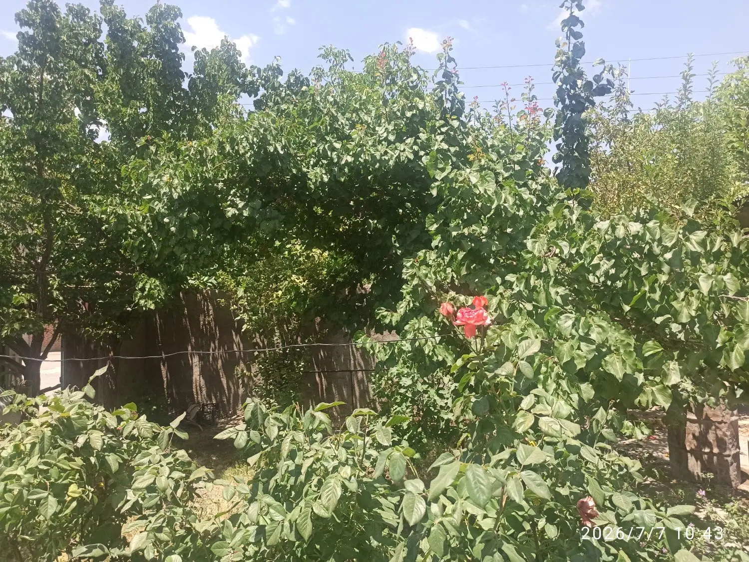 خانه باغچه روستای گوغر بافت
