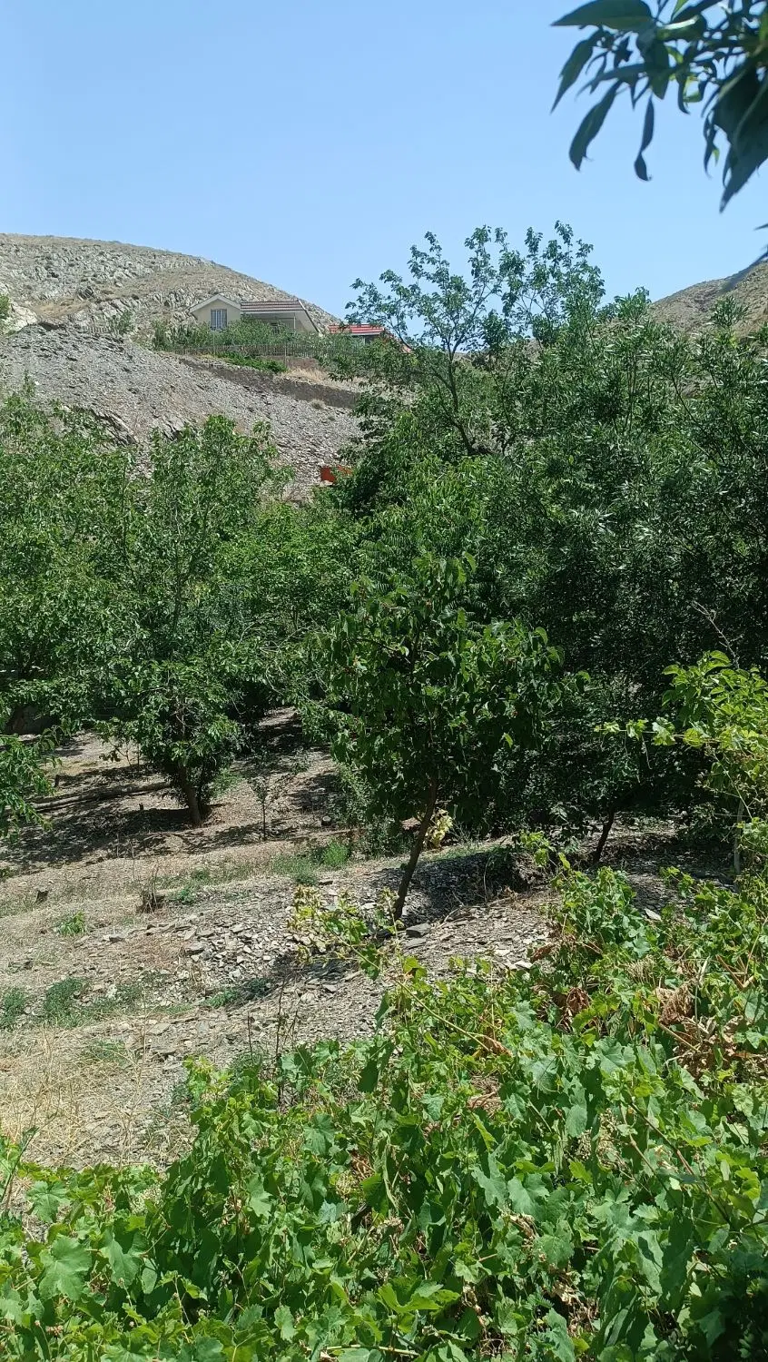 باغ 400متری ابرده