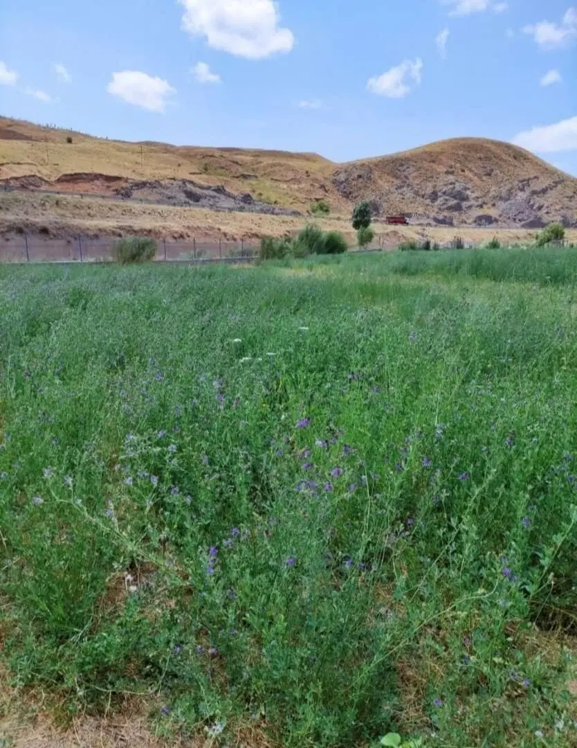 فروش خانه