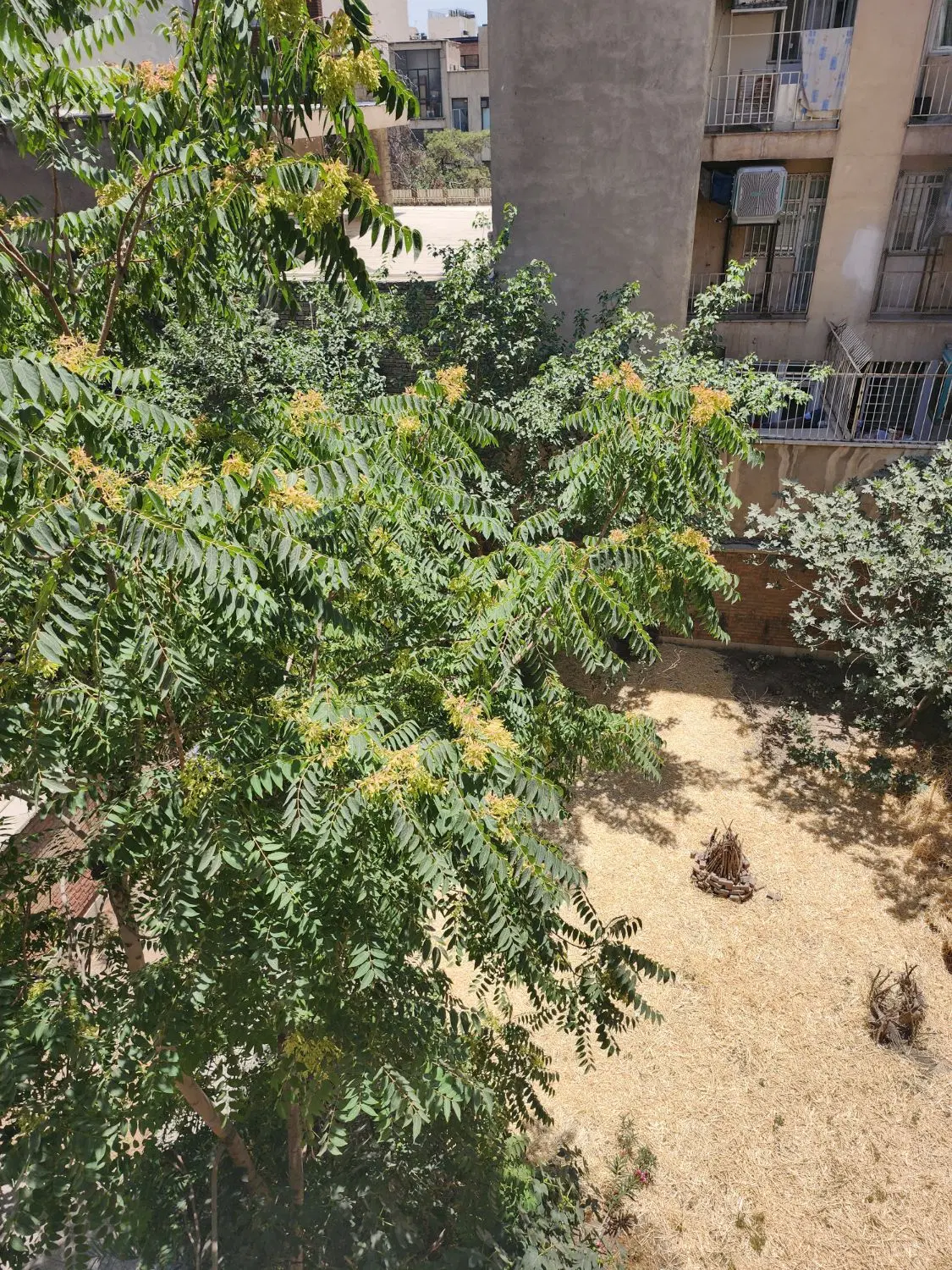 آپارتمان ۲۰۸ متر مربع تک واحدی ط دوم