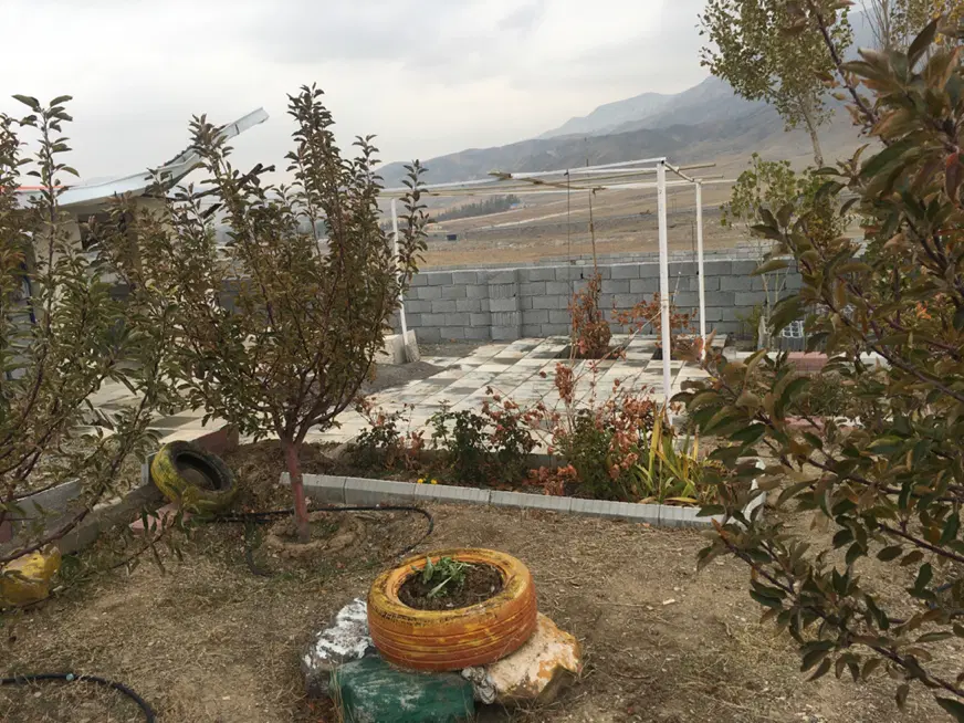 باغ در سعید آباد