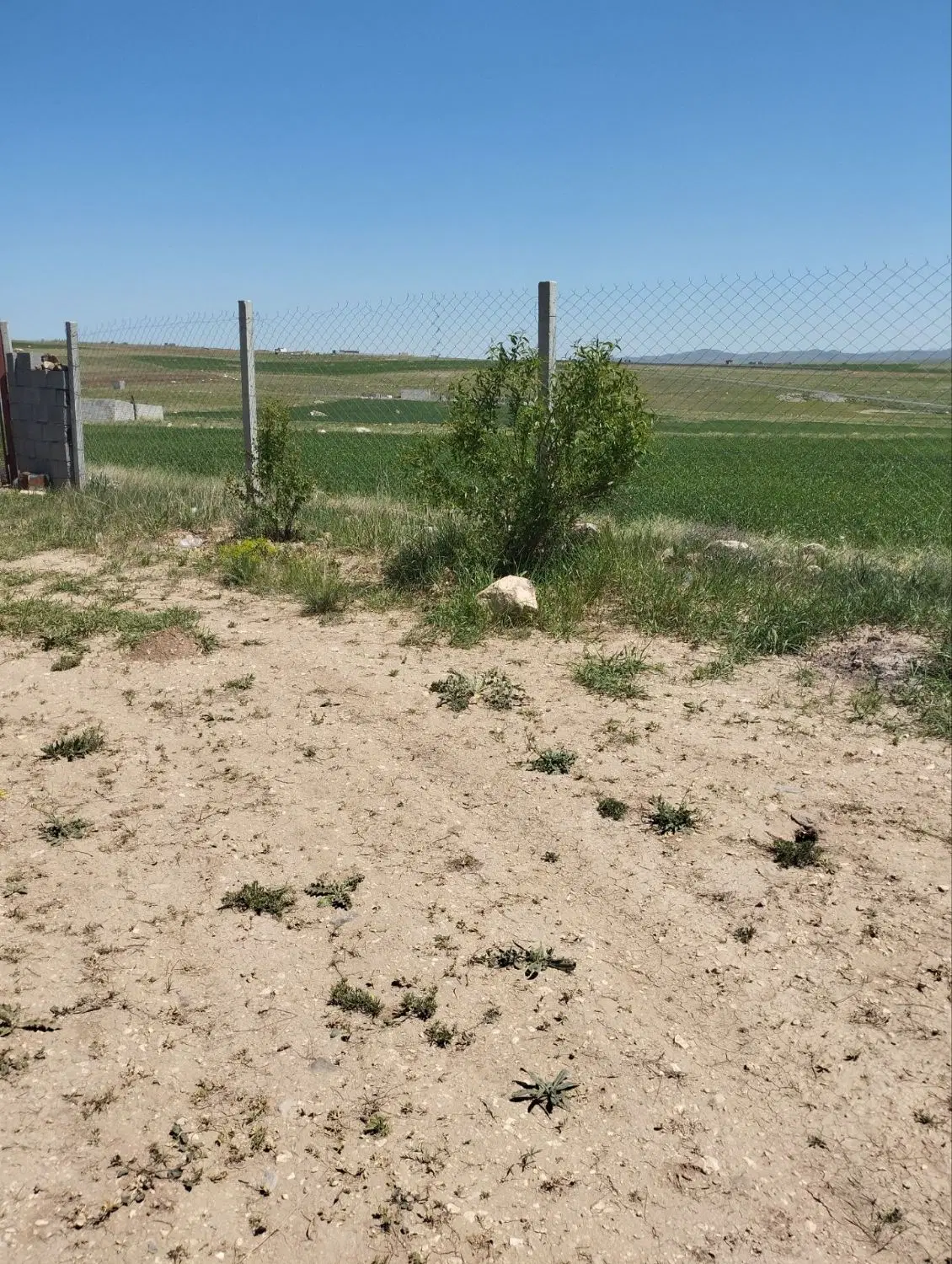 باغ در روستای کهل بعد از ایوند