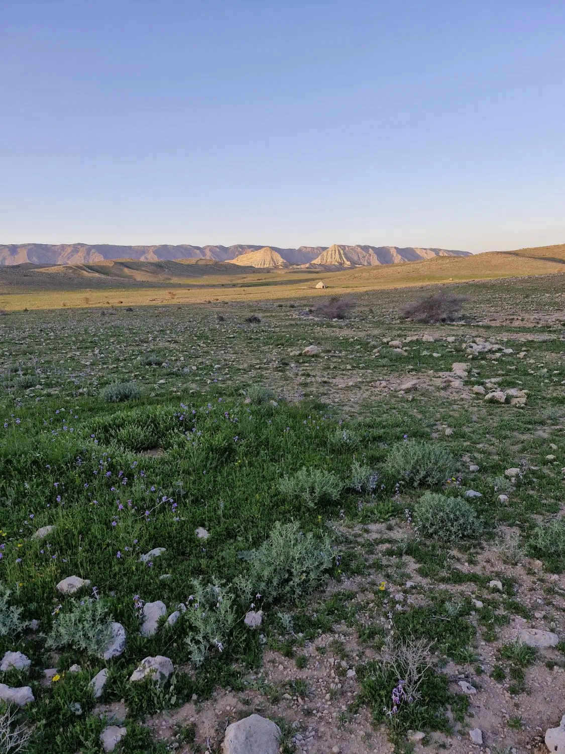 زمین سرمایه گذاری