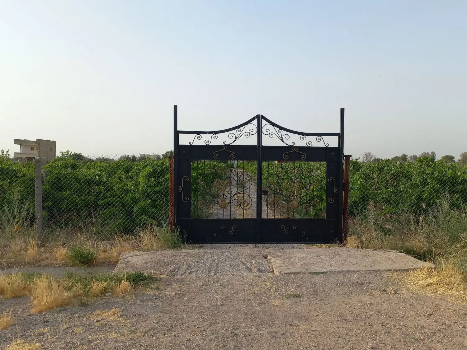 ۹۱۰ متر باغ با بنای کلیدنخورده و برق