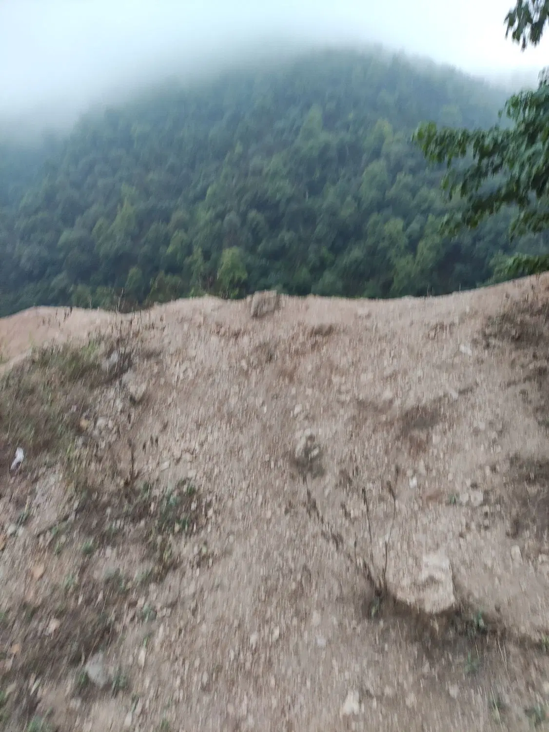 سلام یک قطعه زمین مسکونی