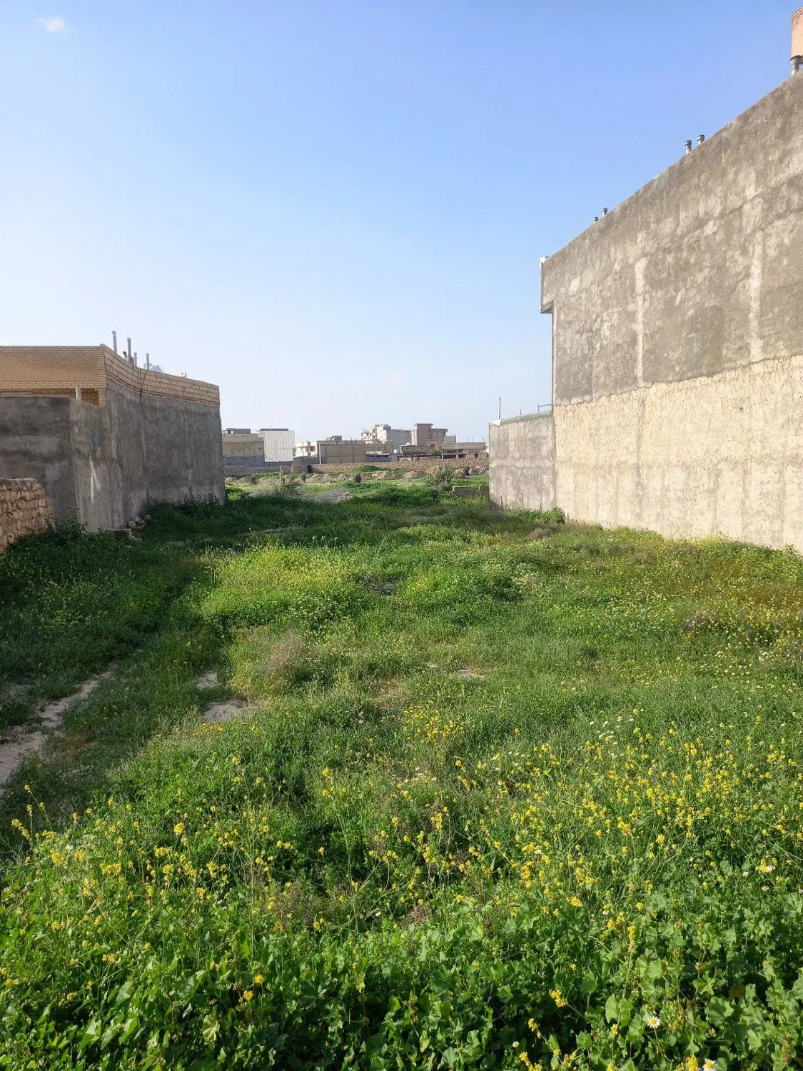 زمین به متراژ446متردربلوارمطهری