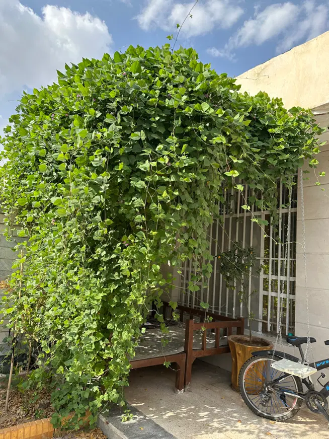 فرصت طلایی برای خرید یک خانه ویلایی سند ملکی